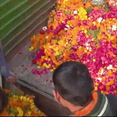 Collection gif