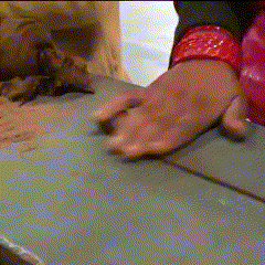 Creation gif